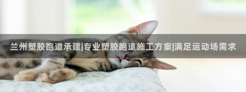 红足一1世666814足球：兰州塑胶跑道承建|专业塑胶跑道施工方案|满足运动场需求
