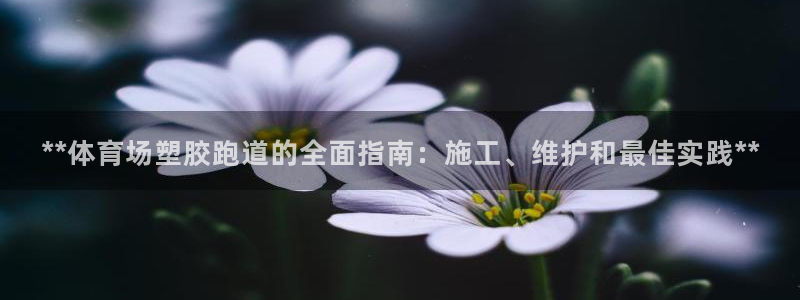 红足一：**体育场塑胶跑道的全面指南：施工、维护和最佳实践**