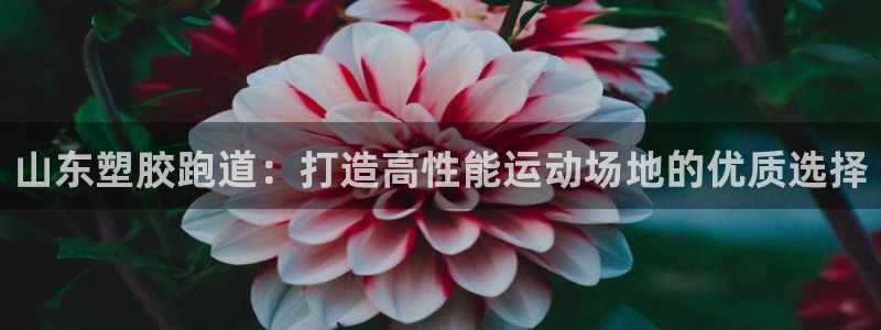 百度红足一1是干什么的：山东塑胶跑道：打造高性能运动场地的优质选择