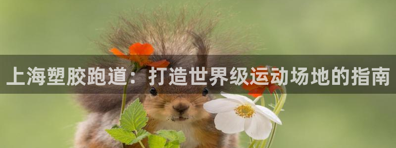333814红足1世：上海塑胶跑道：打造世界级运动场地的指南
