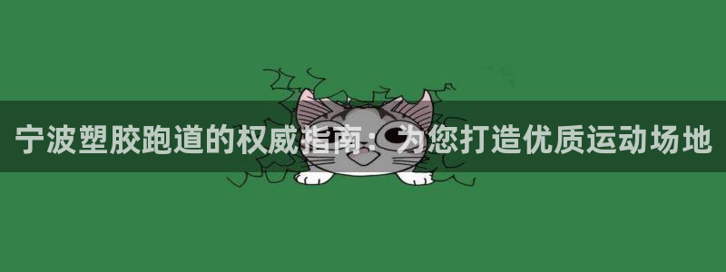 百度红足一1世：宁波塑胶跑道的权威指南：为您打造优质运动场地