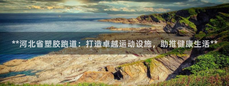 红足1世手机下载：**河北省塑胶跑道：打造卓越运动设施，助推健康生活**