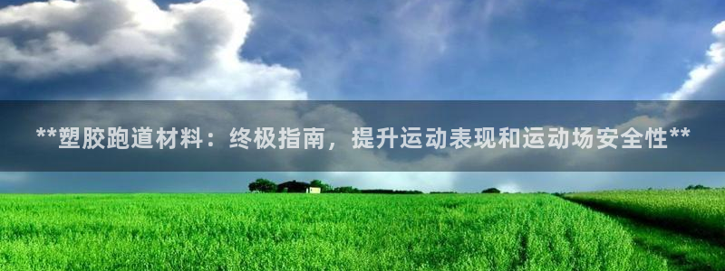 百度红足一1是干什么的：**塑胶跑道材料：终极指南，提升运动表现和运动场安全性**