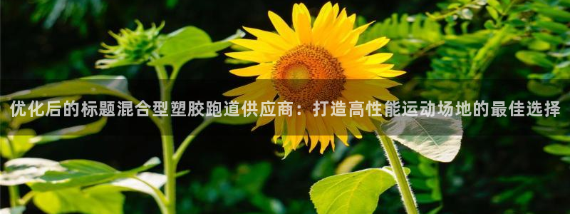 红足一1世开奖记录：优化后的标题混合型塑胶跑道供应商：打造高性能运动场地的最佳选择