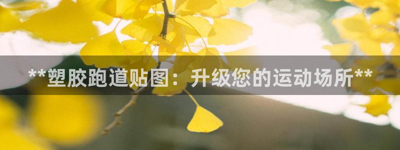 红足一1世666814最新结果：**塑胶跑道贴图：升级您的运动场所**