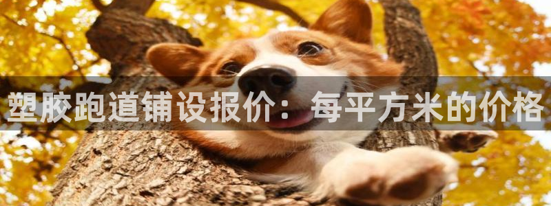 红足1一世足球手机：塑胶跑道铺设报价：每平方米的价格