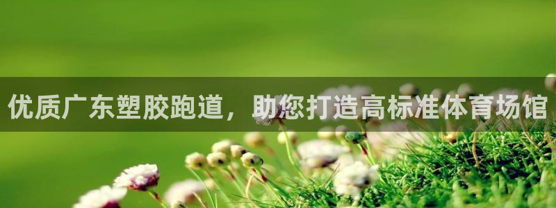77814红足1世：优质广东塑胶跑道，助您打造高标准体育场馆