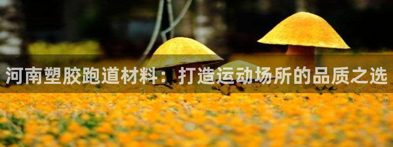 百度红足一1是干什么的：河南塑胶跑道材料：打造运动场所的品质之选