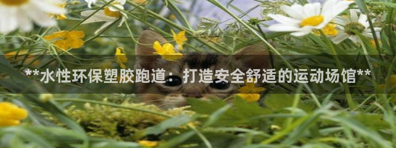 红足一比分网：**水性环保塑胶跑道：打造安全舒适的运动场馆**