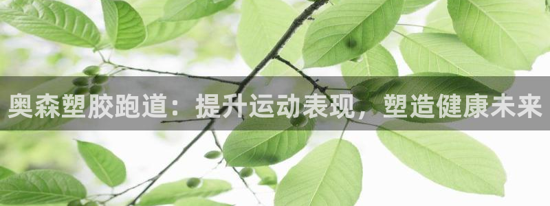 红足一1世比分网：奥森塑胶跑道：提升运动表现，塑造健康未来