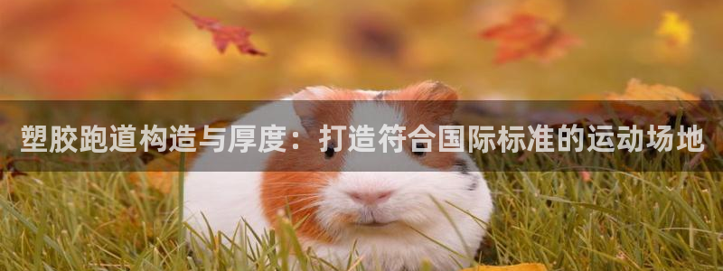 777814红·足一世比分篮球：塑胶跑道构造与厚度：打造符合国际标准的运动场地