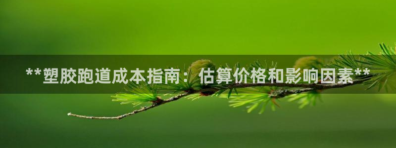 红足一一世：**塑胶跑道成本指南：估算价格和影响因素**