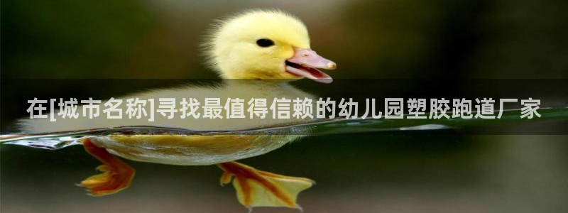 红姐现场直播开奖记录：在[城市名称]寻找最值得信赖的幼儿园塑胶跑道厂家
