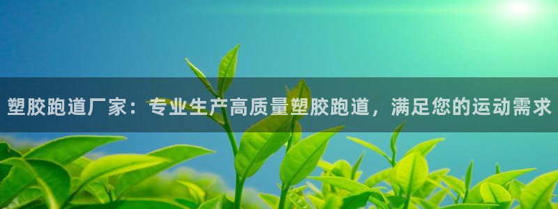 红世一足球比分：塑胶跑道厂家：专业生产高质量塑胶跑道，满足您的运动需求