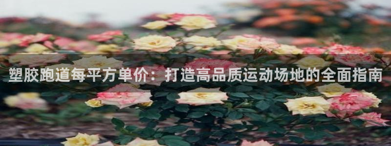 红足一1世比分网：塑胶跑道每平方单价：打造高品质运动场地的全面指南