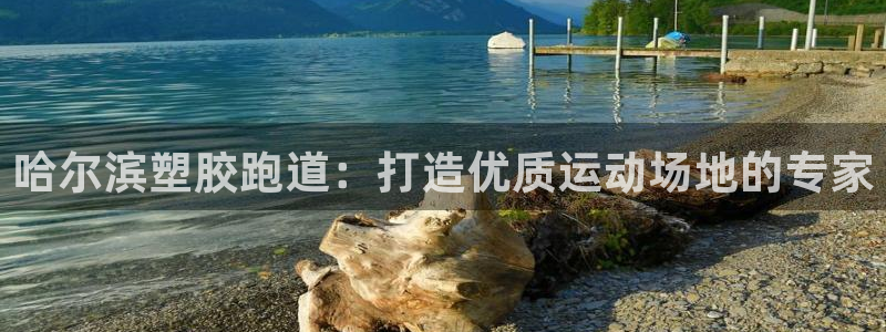 红足体育网：哈尔滨塑胶跑道：打造优质运动场地的专家