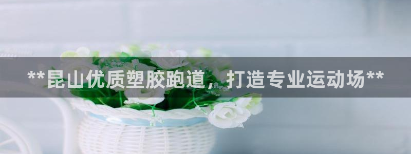 红足1世1站：**昆山优质塑胶跑道，打造专业运动场**