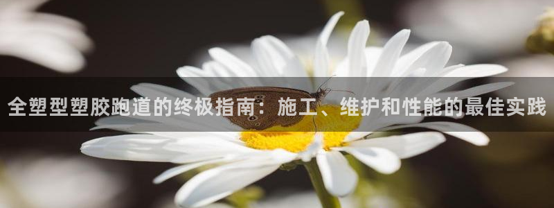 红足1世足球比分网址：全塑型塑胶跑道的终极指南：施工、维护和性能的最佳实践