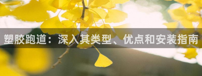 777814红·足一世比分：塑胶跑道：深入其类型、优点和安装指南