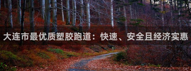 百度红足一1是什么样子的：大连市最优质塑胶跑道：快速、安全且经济实惠