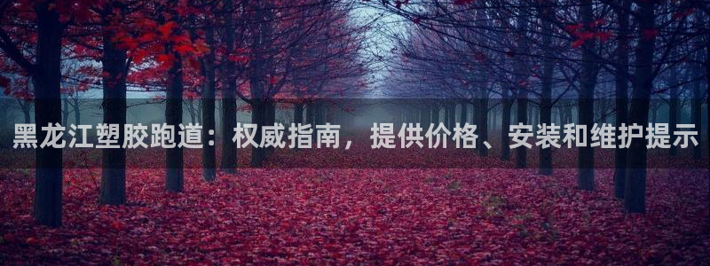 红足1世足球网址：黑龙江塑胶跑道：权威指南，提供价格、安装和维护提示