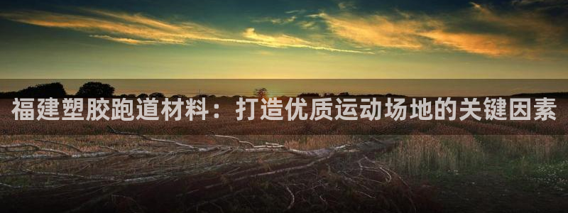 红足1世手机版下载：福建塑胶跑道材料：打造优质运动场地的关键因素