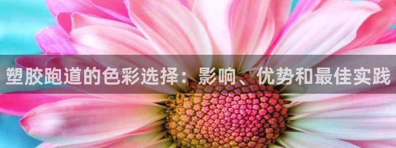 红足一1世：塑胶跑道的色彩选择：影响、优势和最佳实践