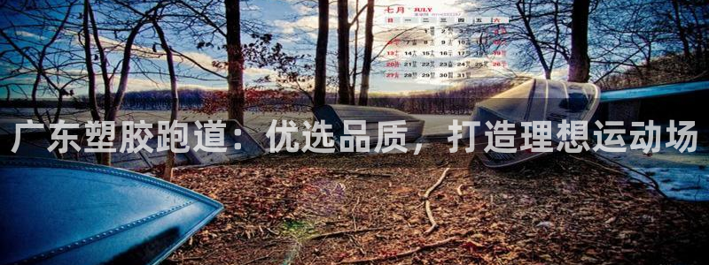 红足1世手机下载：广东塑胶跑道：优选品质，打造理想运动场