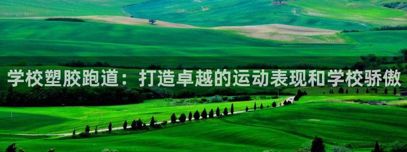 红足足球网：学校塑胶跑道：打造卓越的运动表现和学校骄傲