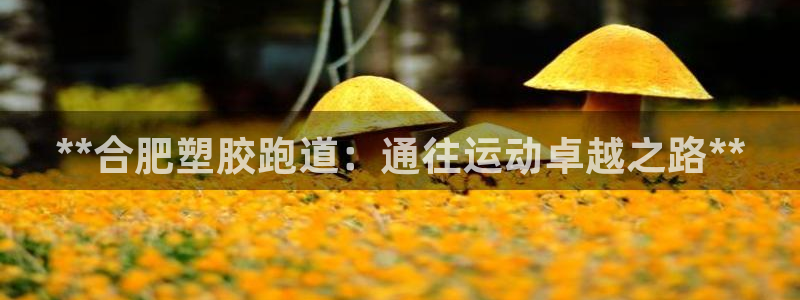红足一1世手机皇冠：**合肥塑胶跑道：通往运动卓越之路**