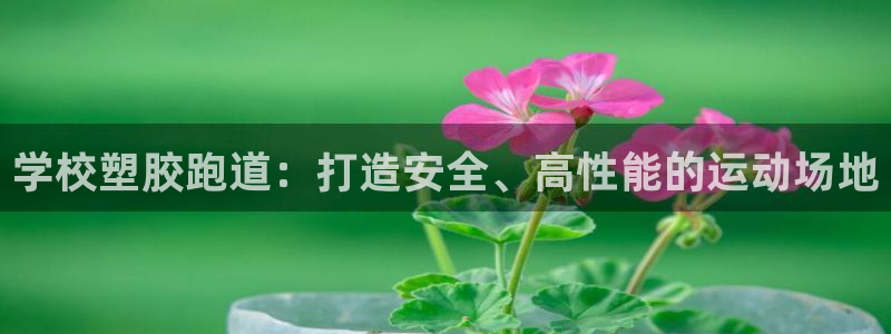 红足1世足球网址大全：学校塑胶跑道：打造安全、高性能的运动场地