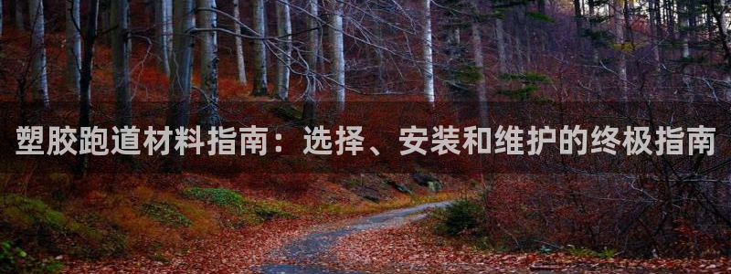 红足一1世66814：塑胶跑道材料指南：选择、安装和维护的终极指南