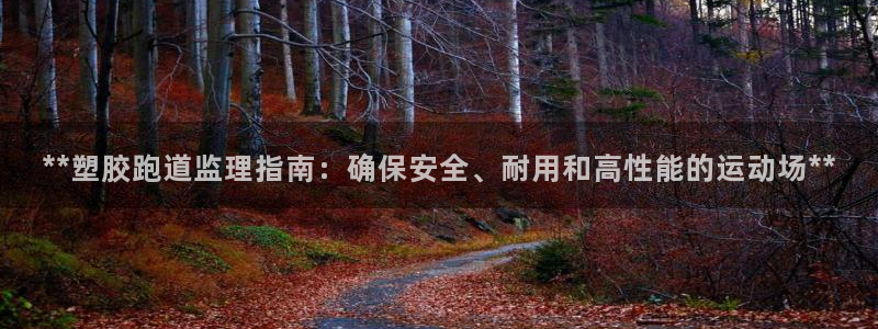 红足1一世红：**塑胶跑道监理指南：确保安全、耐用和高性能的运动场**