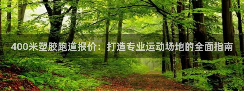 红足一1世：400米塑胶跑道报价：打造专业运动场地的全面指南