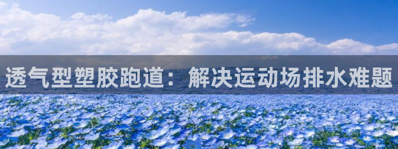 4633333开奖结果4176一点红：透气型塑胶跑道：解决运动场排水难题