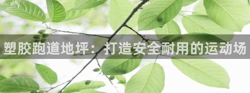红足一1世77814：塑胶跑道地坪：打造安全耐用的运动场