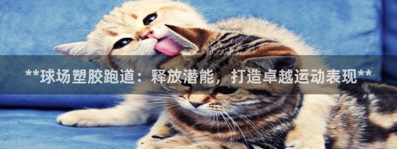 红足一1世手机版新皇冠：**球场塑胶跑道：释放潜能，打造卓越运动表现**