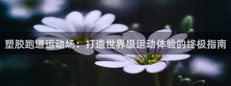 红足一1世比分网：塑胶跑道运动场：打造世界级运动体验的终极指南