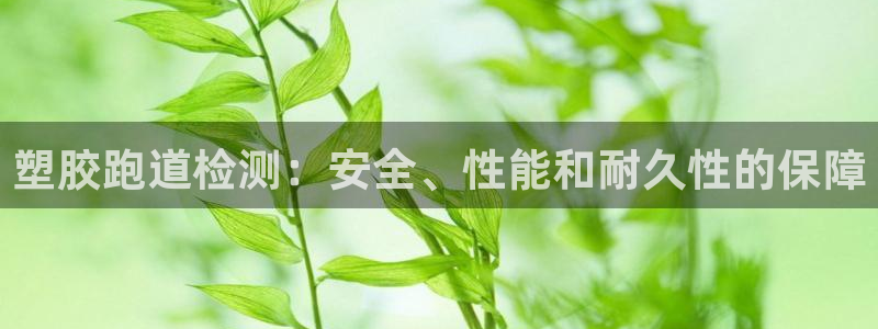 红足一球：塑胶跑道检测：安全、性能和耐久性的保障