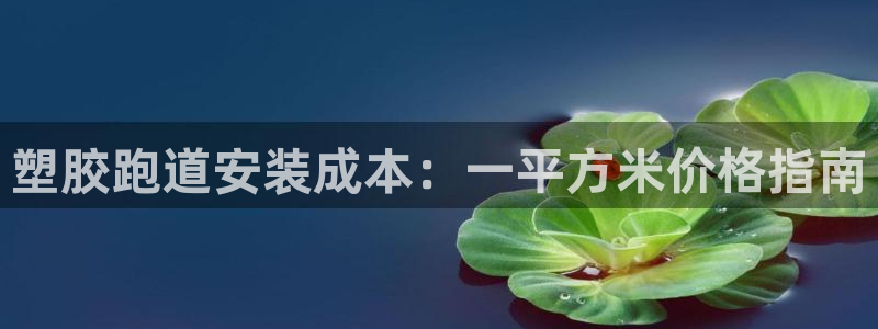 红足1世手机版下载：塑胶跑道安装成本：一平方米价格指南