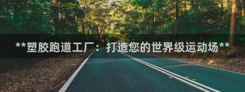 红足1世足球：**塑胶跑道工厂：打造您的世界级运动场**