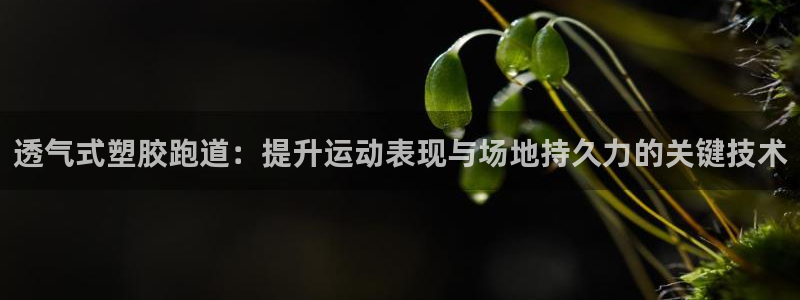红足1一世 2站：透气式塑胶跑道：提升运动表现与场地持久力的关键技术