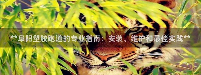 红足一1世即时比分：**阜阳塑胶跑道的专业指南：安装、维护和最佳实践**