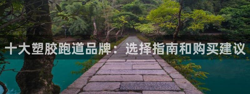 红足1世1站：十大塑胶跑道品牌：选择指南和购买建议