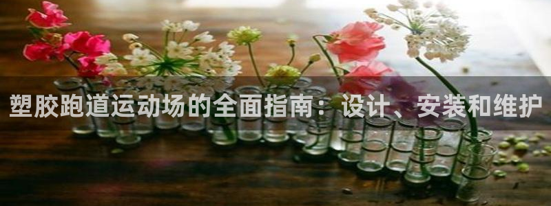 红足一1世官网足球推荐真人：塑胶跑道运动场的全面指南：设计、安装和维护