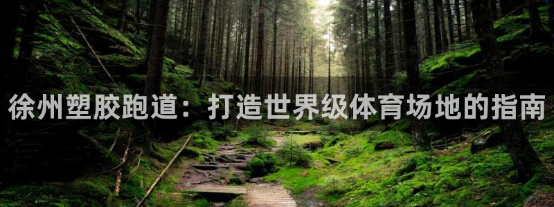 红足体育网：徐州塑胶跑道：打造世界级体育场地的指南