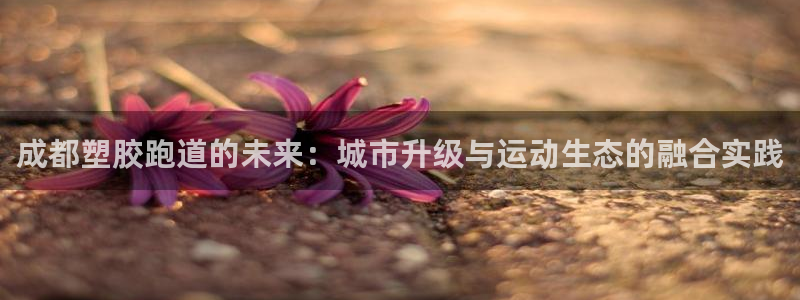 百度红足一1是什么样子的：成都塑胶跑道的未来：城市升级与运动生态的融合实践