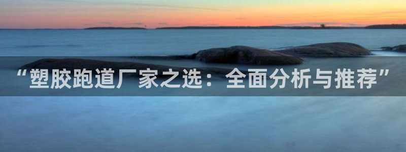 百度红足一1是什么样子的：“塑胶跑道厂家之选：全面分析与推荐”