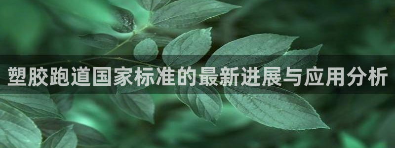 333814红足1世：塑胶跑道国家标准的最新进展与应用分析