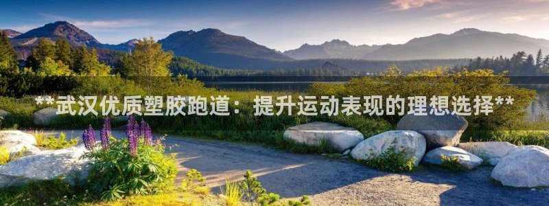 红足1世手机下载：**武汉优质塑胶跑道：提升运动表现的理想选择**